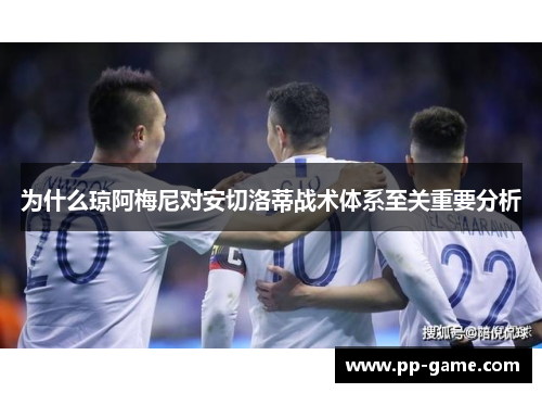 为什么琼阿梅尼对安切洛蒂战术体系至关重要分析