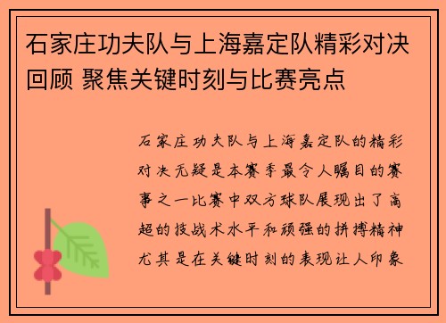 石家庄功夫队与上海嘉定队精彩对决回顾 聚焦关键时刻与比赛亮点